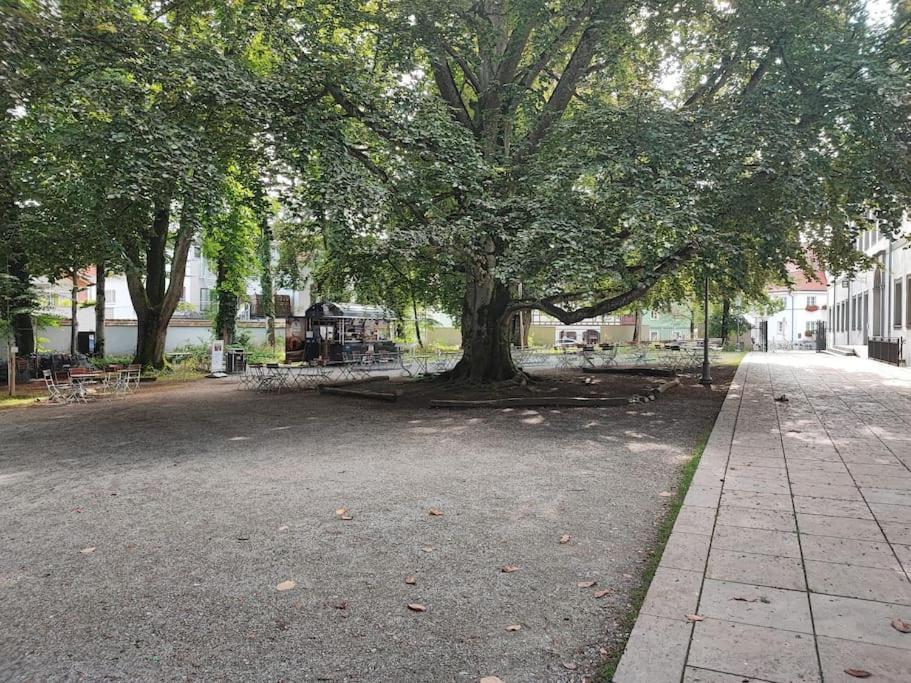 -Stadthaus Ida- Mit Grosser Dachterasse, Am Schlosspark, Luftkurort Kisslegg, Boxspringbetten, Kaffeevollautomat, Smarttv, Familienfreundlich, Grosszuegig, Zentral Екстериор снимка