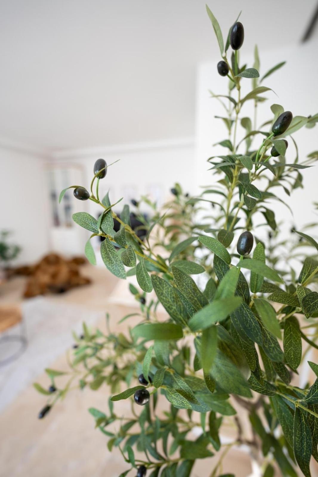 -Stadthaus Ida- Mit Grosser Dachterasse, Am Schlosspark, Luftkurort Kisslegg, Boxspringbetten, Kaffeevollautomat, Smarttv, Familienfreundlich, Grosszuegig, Zentral Екстериор снимка
